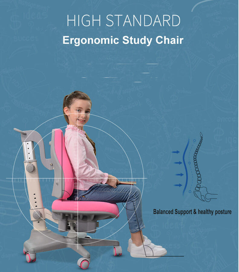 TBCZ best home office chair high quality for studry room-2